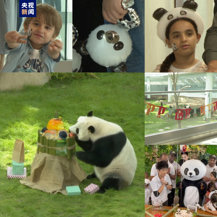△大熊猫“四海”的四周岁生日会现场