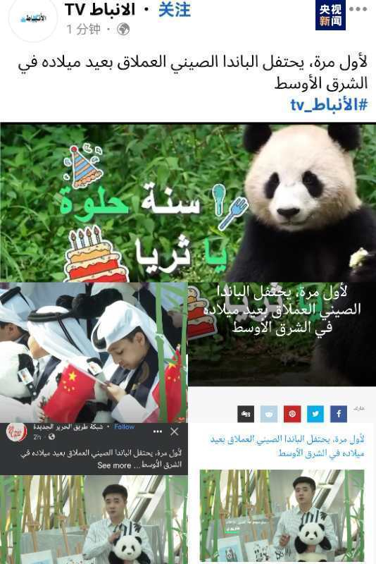 △总台中东总站和CGTN阿语频道脸书、推特、优兔等社交平台同步推出《全球“街”力》网红媒体活动