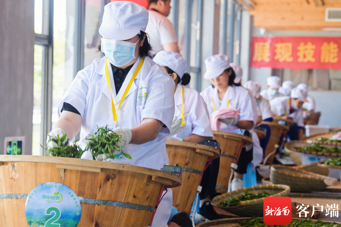 新伟茶厂。受访者供图