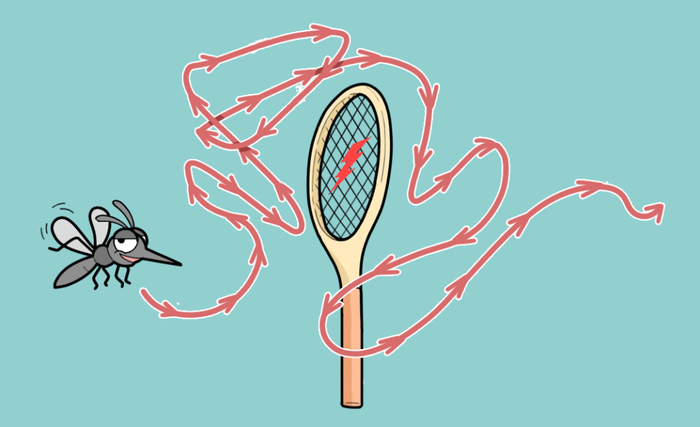 （图片来源丨丁香生活研究所）