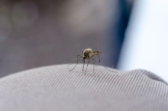 （图片来源丨千图网）