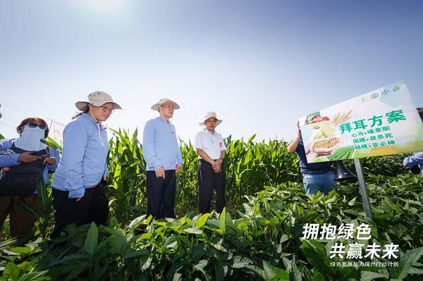 参会人员在无极县郝庄乡现场观摩当地大豆玉米复合种植的示范情况