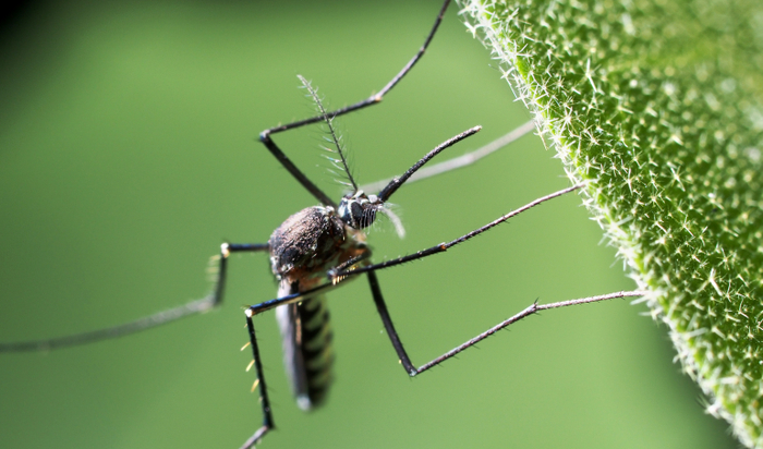 （图片来源丨千图网）
