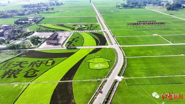 ▲崇州大地景观航拍 图据今日崇州