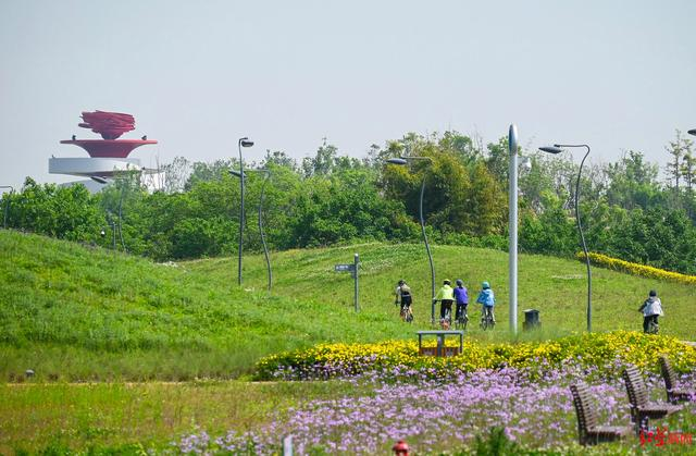▲市民在环城生态区骑行