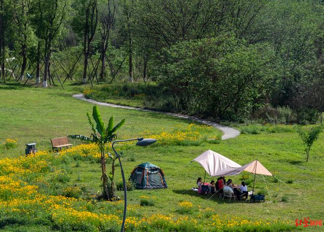 ▲市民在青龙湖露营