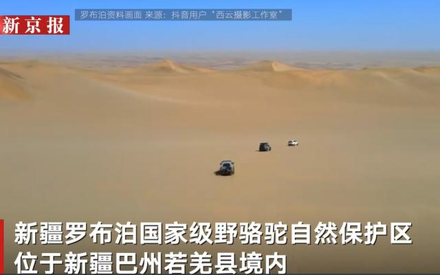 ▲罗布泊。图/新京报我们视频