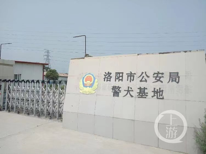 ▲受王文海迫害，“12·10”部督大案中一名刑警中队长被调到警犬基地。图片来源/上游新闻记者沈度