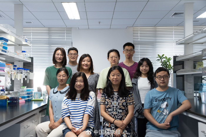 李红菊团队成员合影 以上图片均由受访者供图