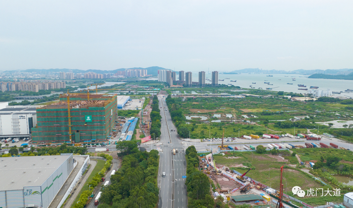 ▲狮子洋通道主线，位于港口大道左（东）侧