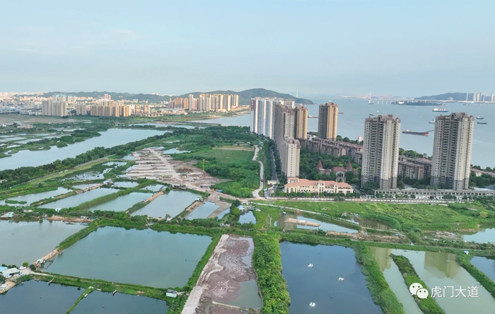 ▲御景半岛东侧也已经开挖