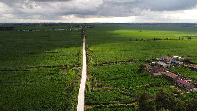 7月16日，吉林省梨树县凤凰山村，村庄、农田、田间路。新京报记者 周怀宗 摄