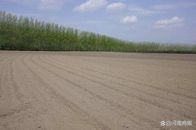　　今年5月，北大荒集团新华农场有限公司青山管理区21-6号地块。（新华社记者黄腾摄）