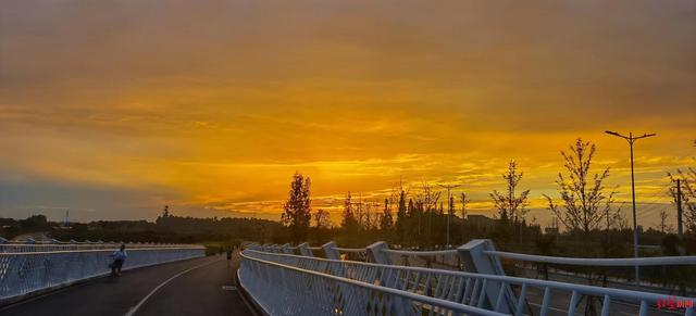 ▲骑行在锦城湖畔追日落