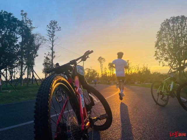 ▲骑行爱好者在绿道上骑行