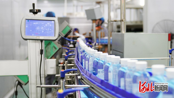 一瓶瓶金银花水在全自动灌装生产线排列整齐。赵荣昊摄