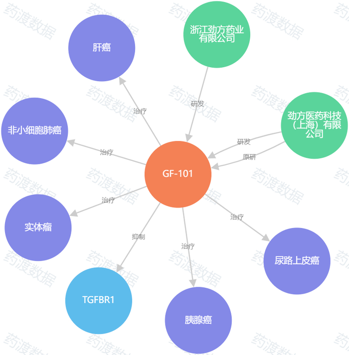 图4. GFH018（GF-101）知识图谱，来源：药渡数据