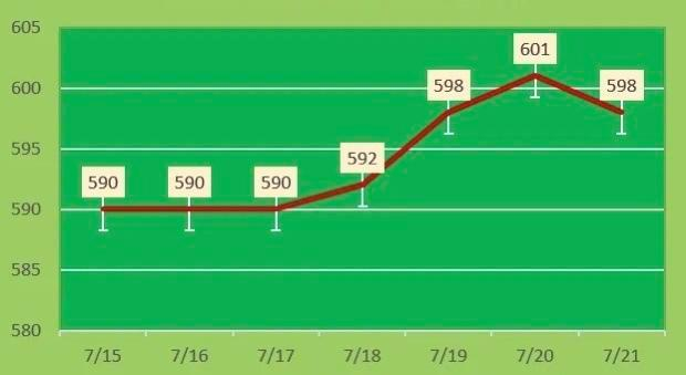 某品牌金价走势图