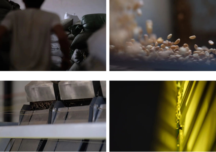  ▲云澜庄园的加工处理厂