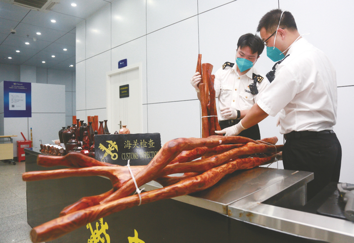     海关人员正在查看查获的濒危制品    本报通讯员 何璐璐 摄