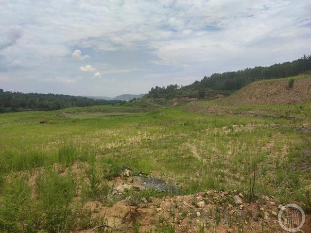 ▲耕地遭到破坏，地上长满了杂草。图片来源/上游新闻记者  沈度