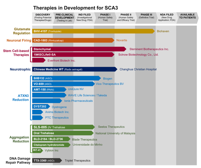 图片来源：美国共济失调基金会