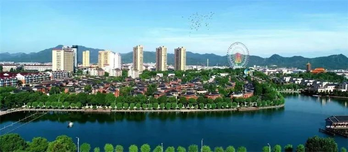 （图片来源：花园村官微）