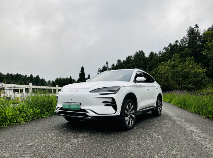 宋PLUS EV 冠军版。华龙网-新重庆客户端 许川摄