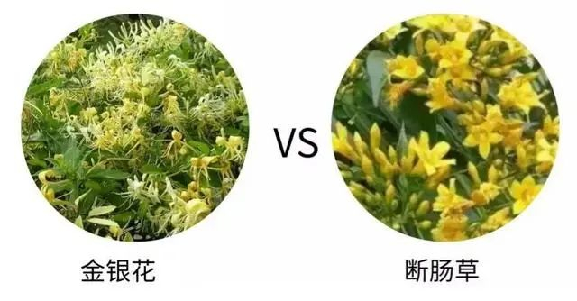 图片来源：南方新闻网