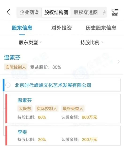 时代峰峻的股权架构 图片来源：企查查截图