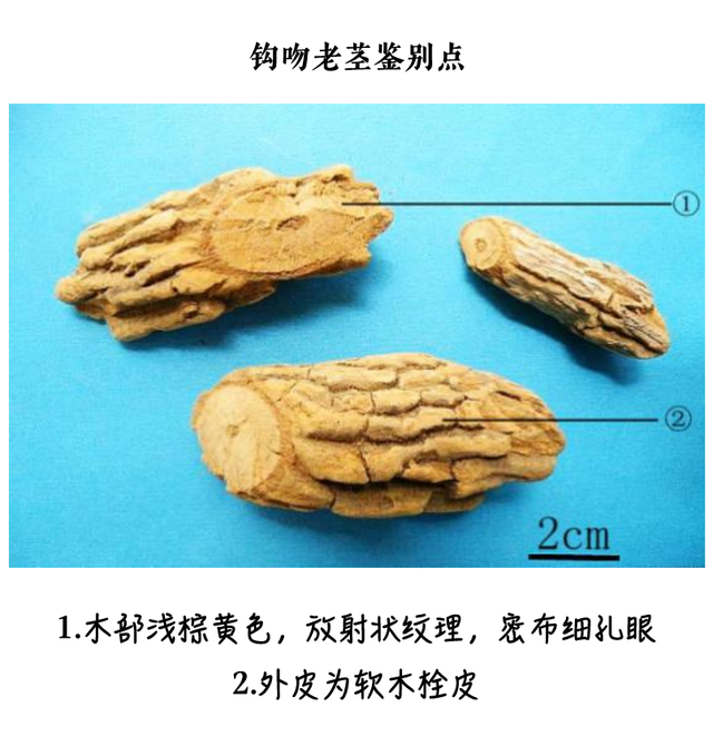 图片来源：南方新闻网