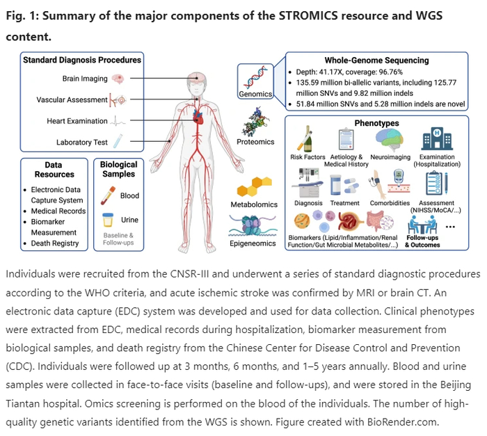 图1 STROMICS研究平台和全基因组数据质量总结（图源自Cell Discovery）