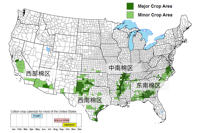 数据来源：USDA 大地期货研究院