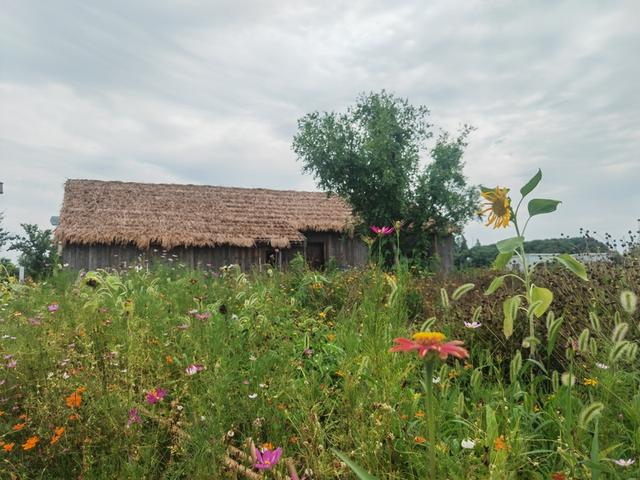 吴房村景观（束涵 摄）