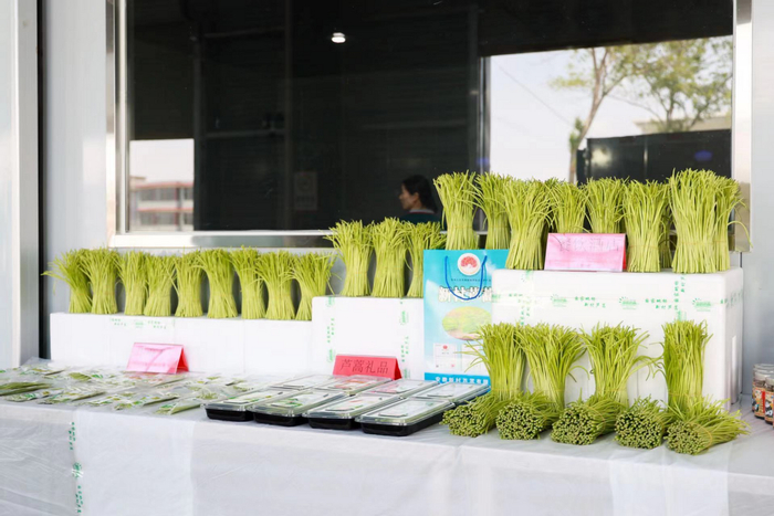 新村芦蒿产品展示区。