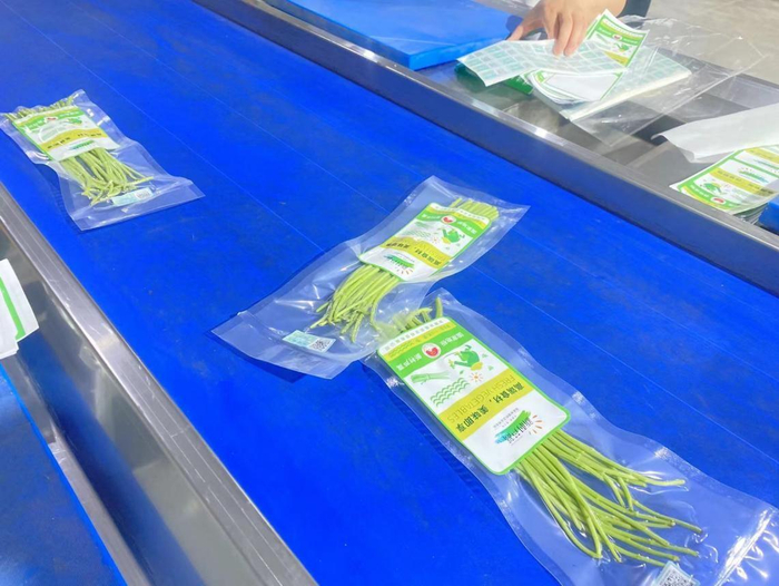 生产线上的小包新村芦蒿。