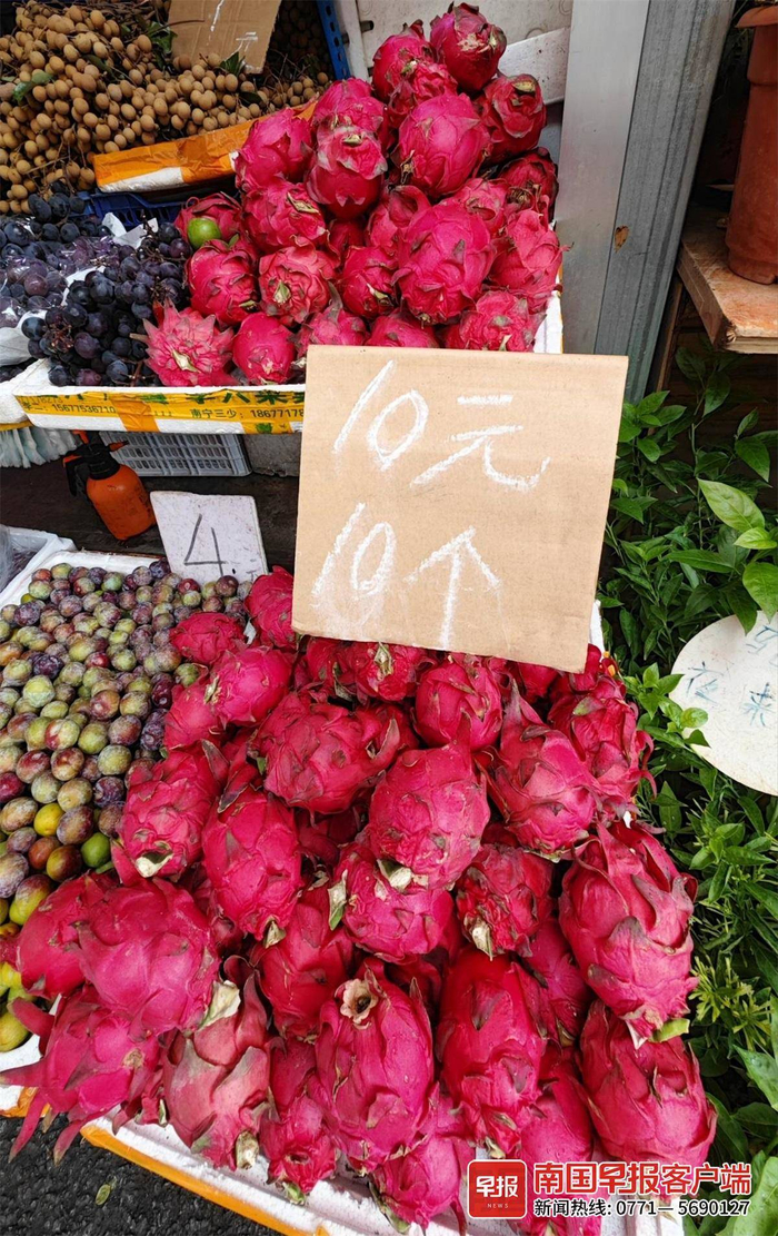 南宁长堽路一市场摊位上火龙果10元10个，果贩便宜售卖。