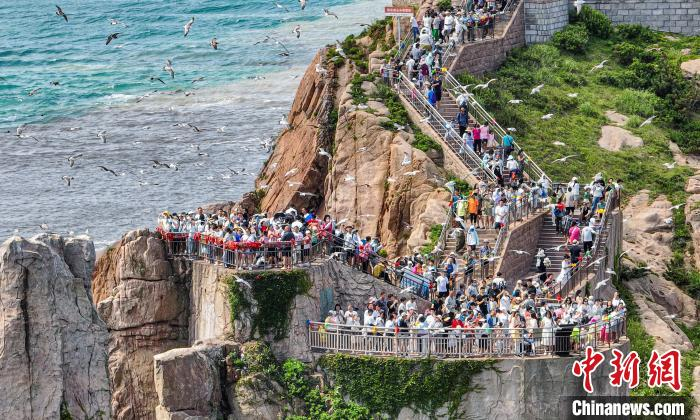 图为大量游客在山东荣成沿海景区观海潮、喂海鸥，尽享休闲好时光。李信君 摄