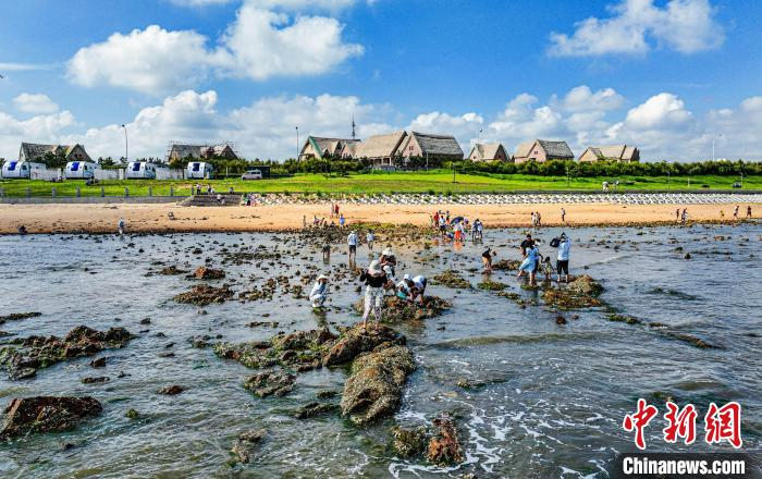 图为游客在山东荣成海滨赶海。李信君 摄