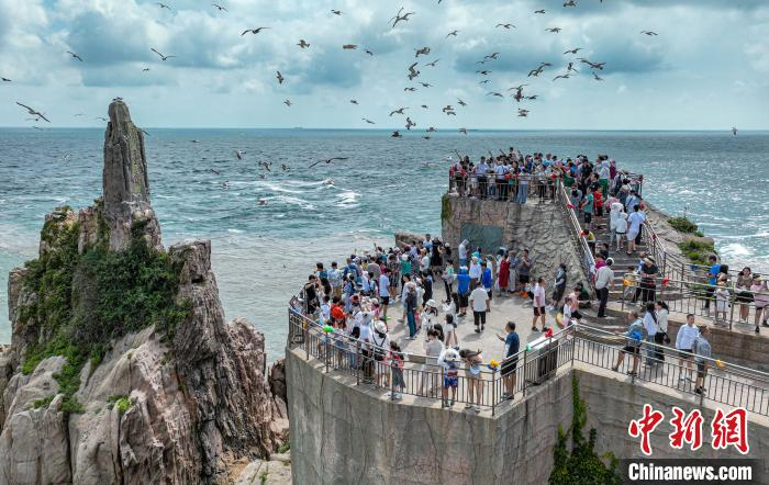 图为大量游客在山东荣成沿海景区观海潮、喂海鸥。李信君 摄