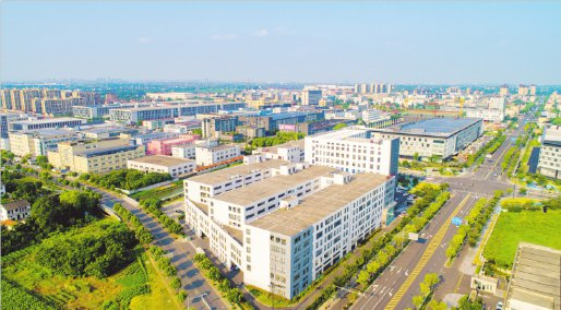 打造工业智造名镇  王店镇供图