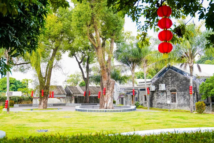 ▲高新区会同古村香樟园。吴长赋 摄