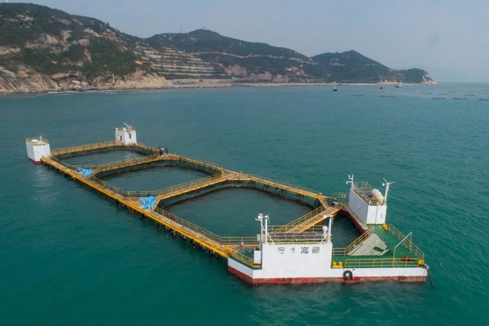 ▲德海1号养殖网箱。李建束 摄