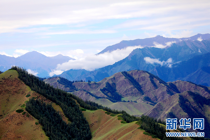　　壮美祁连山。新华网发（王生元 摄）