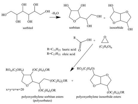 图2：聚山梨酯80的合成。使用月桂酸代替油酸，以类似的方式合成聚山梨醇酯20。