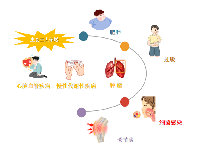 图2 | 多肽药物治疗领域