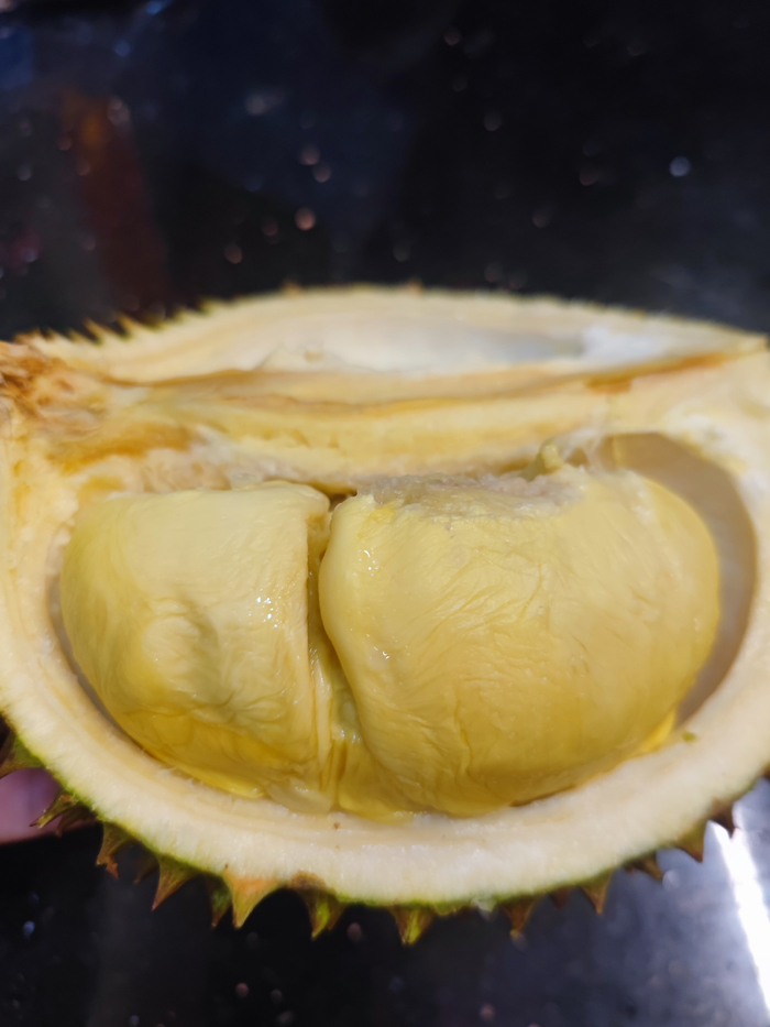 图片来源：视频截图