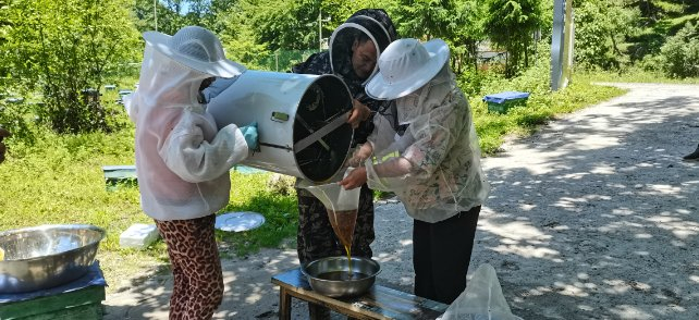 村民过滤摇制好的蜂蜜