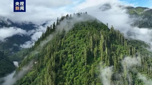 图源：央视新闻