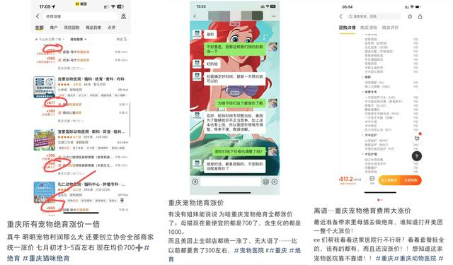 网友讨论绝育手术涨价 截图自小红书
